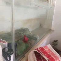 اکواریوم ۱۲۰سانتی