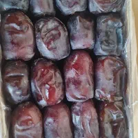 مضافتی|خوردنی و آشامیدنی|تهران, امام حسین|دیوار