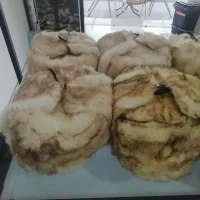 کلاه|لباس|برازجان, |دیوار