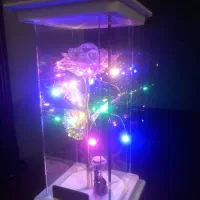 چراغ خواب گل رز هفت رنگ رومیزی