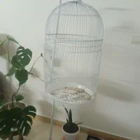 قفس گرد