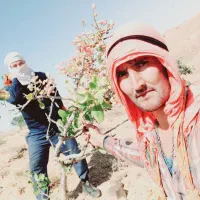 پسته کوهی خندون پسته جنگلی خندون پسته وحشی خندون|خوردنی و آشامیدنی|رضویه, |دیوار