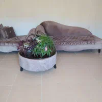 مبلمان 10 نفره