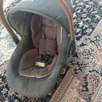 کریر نوزاد  در حد نوع نوع