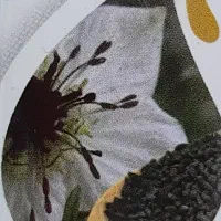 سیم کارت همراه اول