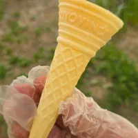 کارگر ساده
