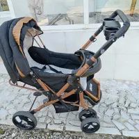 کالسکه دلیجان|کالسکه و لوازم جانبی|رضوانشهر, |دیوار