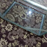 آکواریوم|ماهی|مبارکه, |دیوار