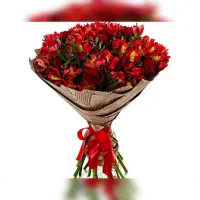 دسته گل ۴۵۰|گل و گیاه طبیعی|تهران, تهرانپارس شرقی|دیوار