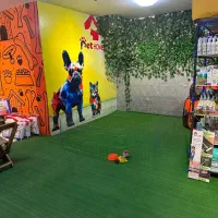 پت شاپ خانه حیوانات|لوازم جانبی حیوانات|فردیس, قریشی|دیوار