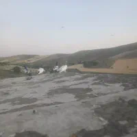 چند جفت کبوتر