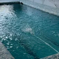 اجاره ویلا لوکس استخردار ابگرم جکوزی