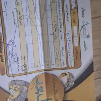 فروش طلا فقط به قیمت تابلو تا امشب