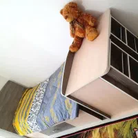 سرویس خواب نوجوان