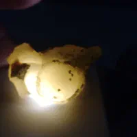 سنگ عتیقه|کلکسیون اشیاء عتیقه|مشهد, شایه|دیوار