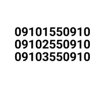 ۰۹۱۰.۱۵۵.۰۹۱۰