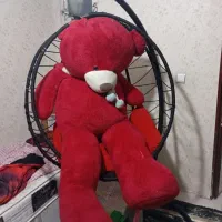 تاب ریلکسی و خرس بسیار بزرگ