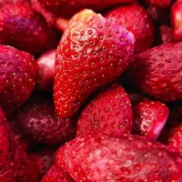 توتفرنگی خشک بهنمیر فریزدرایر، میوه خشک،بستنی خشک|خوردنی و آشامیدنی|تهران, باشگاه نفت|دیوار
