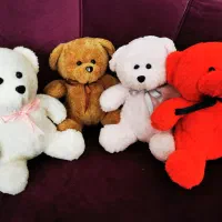 خرس 20 و 30|اسباب‌‌بازی|مشهد, طلاب|دیوار