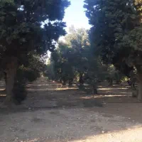 کار برای زن و مرد