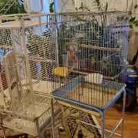 قفس طوطی|لوازم جانبی حیوانات|تهران, میرداماد|دیوار