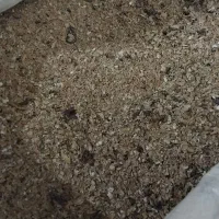 خوراک دام (کنسانتره)|عمدهفروشی|گنبد کاووس, |دیوار