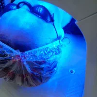 زیبابی خود را با ما دو چندان کنید