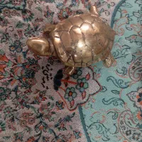 لاک‌پشت تزعینی