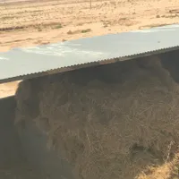 یونجه