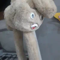 گوشگیرسالم قیمت ۴۵۰تومن قیمتش خیلی بالاتره