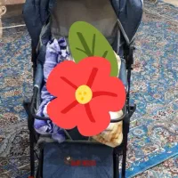 ست کالسکه، کیف، کریر