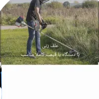 علف زنی باغ وحیاط