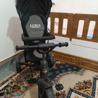 سه چرخه لوتوس