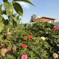 باغ-سند-دار-فقط-یک-ساعت-تا-تهران