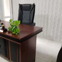 وکیل دادگستری