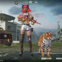 اکانت پابجی موبایل قیمت مناسب|کنسول، بازی ویدئویی و آنلاین|تهران, مشیریه|دیوار