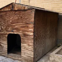 خانه خونه لانه لونه جای خواب سگ چوبی|لوازم جانبی حیوانات|اصفهان, باب الدشت|دیوار