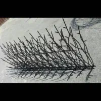 تولید شاخ گوزی|خدمات پیشه و مهارت|تبریز, |دیوار