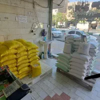 برنج درجه یک|خوردنی و آشامیدنی|قرچک, زیبا شهر|دیوار