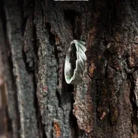 آکادمی تخصصی طلاسازی عاج اصفهان|خدمات آموزشی|اصفهان, سروستان|دیوار