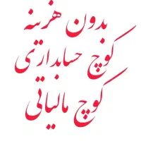 صفر تا حرفه‌ای حسابداری در کنار یه کوچ رایگان