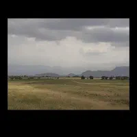زمین کشاورزی هکتاری فریمان