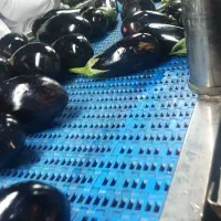 جذب نیرو|استخدام صنعتی، فنی، مهندسی|جیرفت, |دیوار