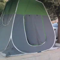 درخت سبز چادری