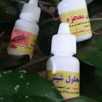 قطره شپش