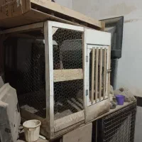 قفس چوبی محکم