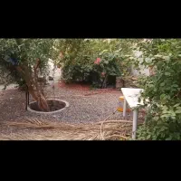 رهن واجاره منزل ویلایی
