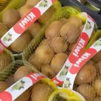 فروش کیوی کریستالی بسته بندی شده ۵۰ گرم ۶۰ گرم