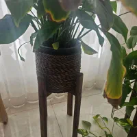 وسایل نو|لوستر و چراغ آویز|همدان, |دیوار