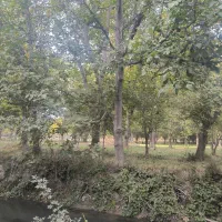 باغ با انواع میوه